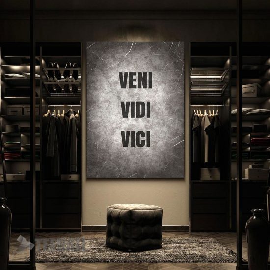 Veni Vidi Vici Quote Motivational Canvas Prints Wall Art Decor 2