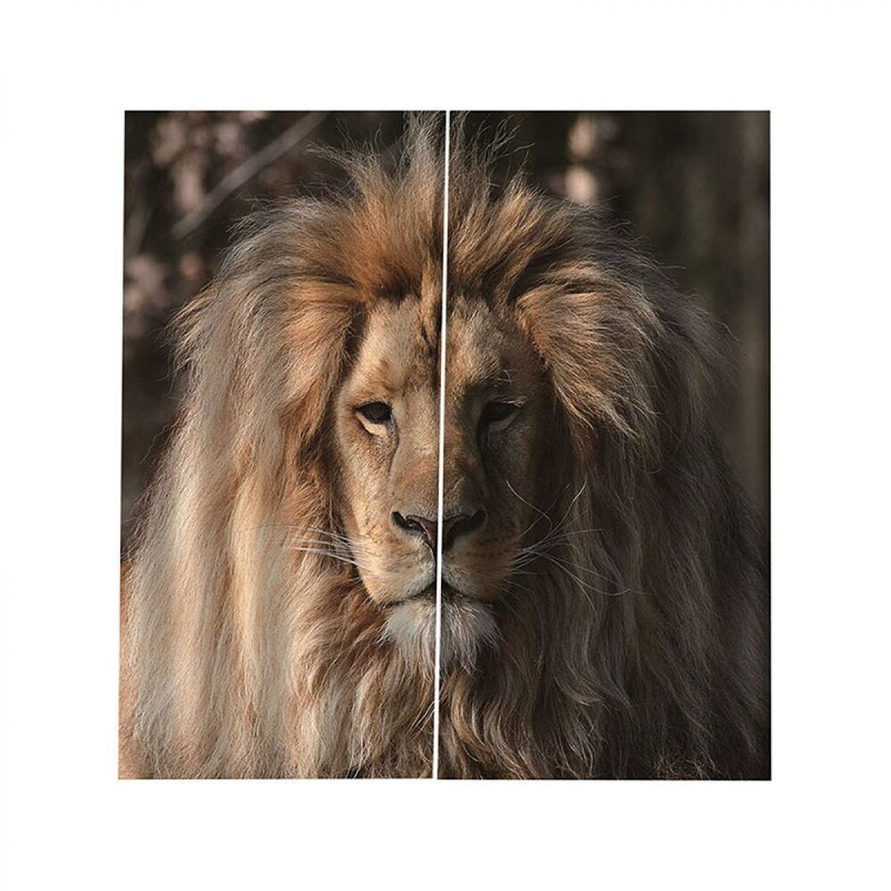 Lion Protecting Animal Printed Window Curtain Home Decor lion protecting animal printed window curtain home decor 6570