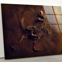 Abstract Art And Cool Wall Hanging Dinosaur Fossil Tyrannosaurus Rex Wall Art Glass Print