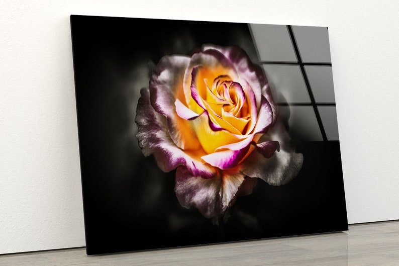 Abstract-Art-And-Cool-Wall-Hanging-Rose-Flower-Wall-Art-Botanical-Wall-Art-Glass-Print Abstract Art And Cool Wall Hanging Rose Flower Wall Art Botanical Wall Art Glass Print
