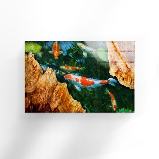 Abstract Art Fish Wall Art Underwater Wall Art Glass Print 2
