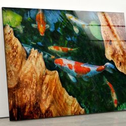 Abstract Art Fish Wall Art Underwater Wall Art Glass Print