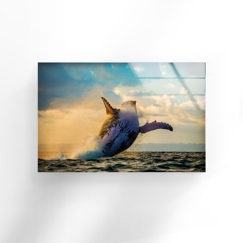 Abstract-Wall-Art-Animal-Wall-Art-Whale-Wall-Art-Glass-Print-2 Abstract Wall Art Animal Wall Art Whale Wall Art Glass Print 2