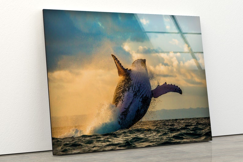 Abstract Wall Art Animal Wall Art Whale Wall Art Glass Print