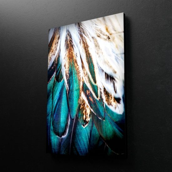 Abstract Wall Art Feather Wall Art Glass Print 2