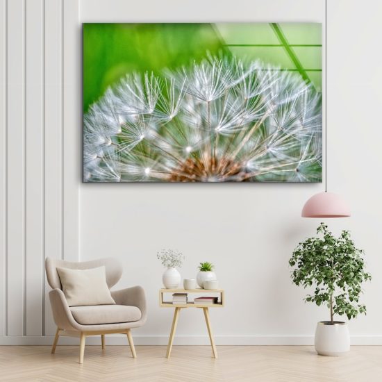 Dandelion Wall Art Flower Wall Art Glass Print 1