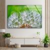 Dandelion Wall Art Flower Wall Art Glass Print