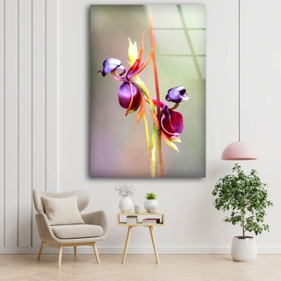 Flying Duck Orchid Wall Art Flower Wall Art Glass Print 1