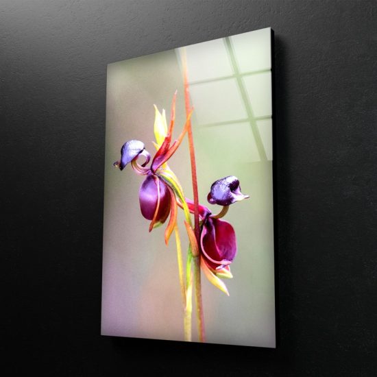 Flying Duck Orchid Wall Art Flower Wall Art Glass Print