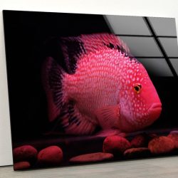 Glass Print Picture Wall Art For Restaurant Office Chess Pieces Wall Art Underwater Wall Art Pink Fish Wall Art