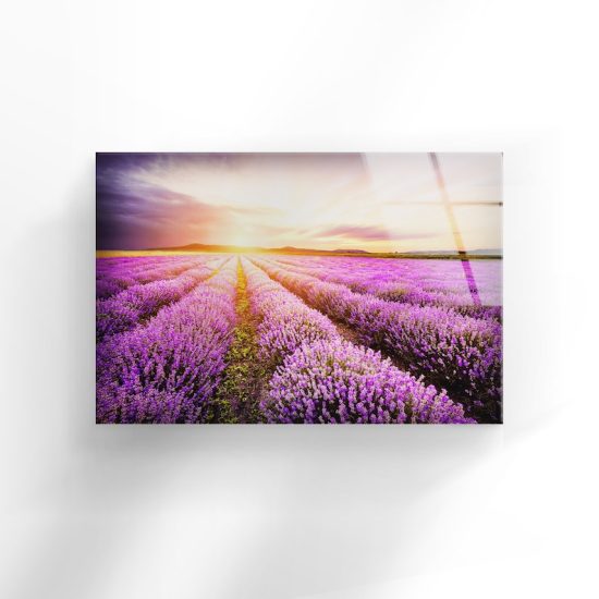 Glass Print Picture Wall Art For Restaurant Office Wall Art Wall Hanging Uv Printing Purple Lavender Field Art 1
