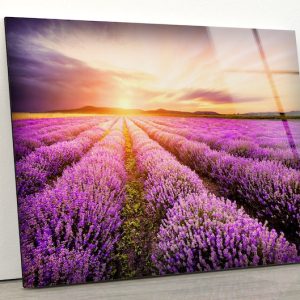 Glass Print Picture Wall Art For Restaurant Office Wall Art Wall Hanging Uv Printing Purple Lavender Field Art
