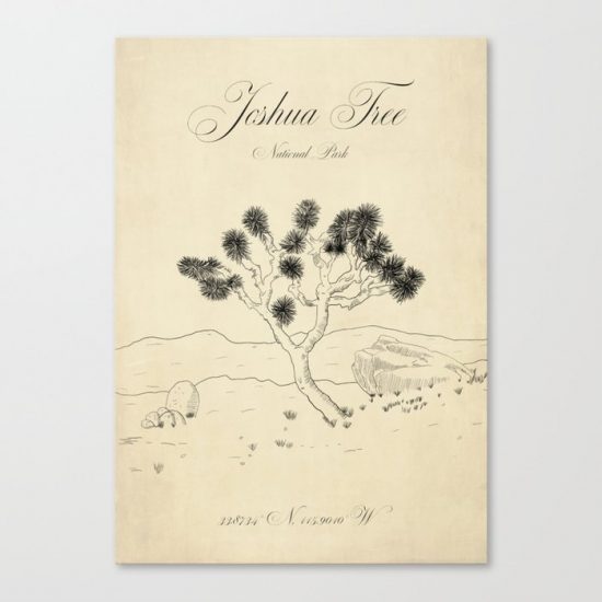 Joshua Tree National Park Vintage Line Art Drawing Sketch Canvas Print - Wall Art Decor