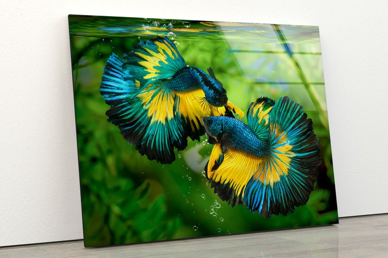 Luxurious Glamorous Abstract Fluid Style Glass Wall Art Glass Wall Decor Wall Hanging Colorful Fish Wall Art