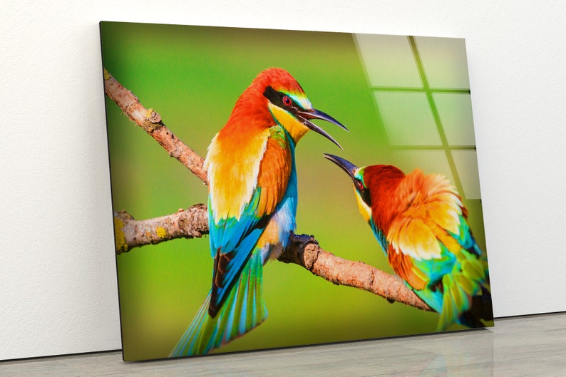 Natural And Vivid Wall Glass Wall Art Ecology Colorful Birds Wall Art