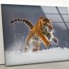 Tempered Glass Printing Wall Decor Ation For Living Room Animal Wall Art Tiger Wall Art Lion Wall Art Animal Glass Wall Art