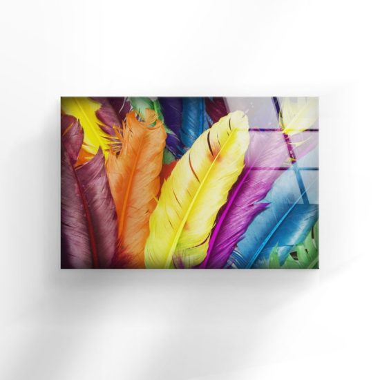 Tempered Glass Printing Wall Decor Ation For Living Room Stained Wall Art Colorful Feathers Wall Art 1
