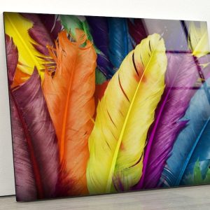 Tempered Glass Printing Wall Decor Ation For Living Room Stained Wall Art Colorful Feathers Wall Art