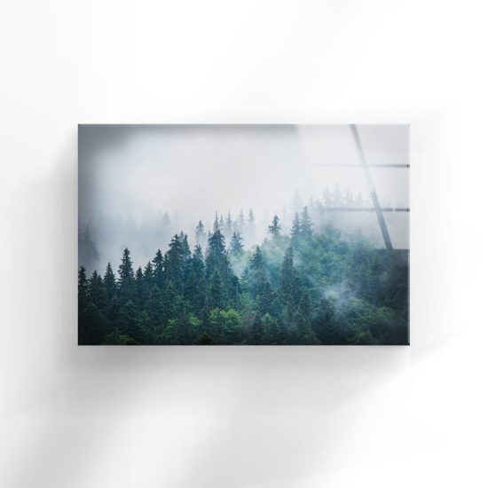 Tempered Glass Printing Wall Decor Ation For Living Room Stained Wall Art Foggy Forest Misty Mountain Art 2