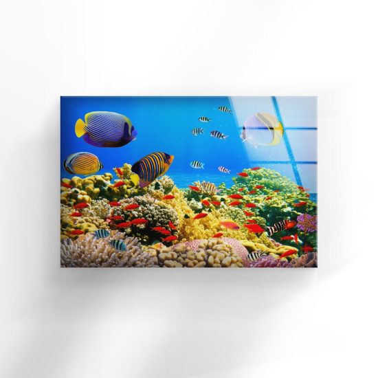 Tempered Glass Printing Wall Decor Ation For Living Room Stained Wall Art Ocean Aquarium Colorful Fishes Art 1