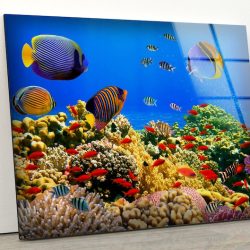 Tempered Glass Printing Wall Decor Ation For Living Room Stained Wall Art Ocean Aquarium Colorful Fishes Art