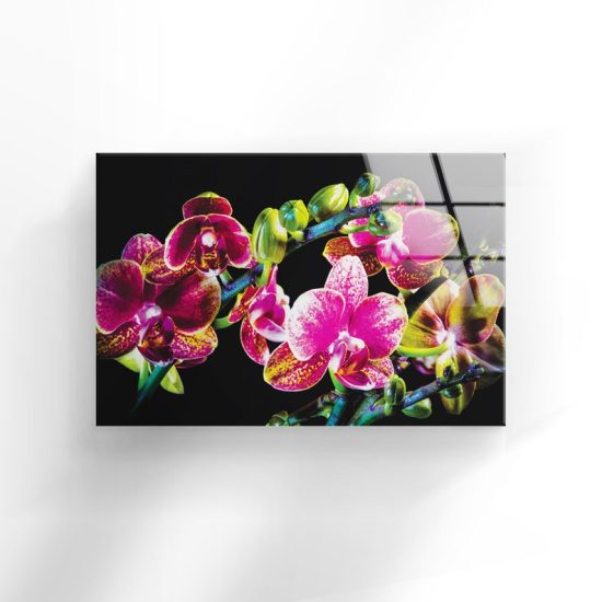Tempered Glass Printing Wall Decor Ation For Living Room Stained Wall Art Orchid Flower Purple Wall Art 1