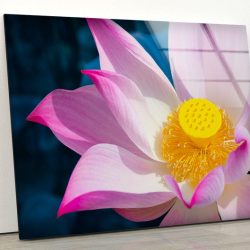 Tempered Glass Printing Wall Decor Room Uv Painted Glass Wall Art Nature And Vivid Wall Pink Flower Wall Art