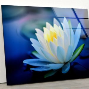 Tempered Glass Wall Art Abstract Art Lotus Flower Wall Art Flower Wall Art 1