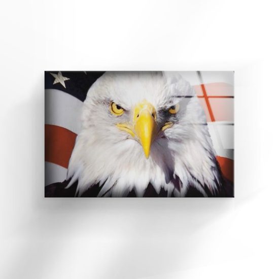 Tempered Glass Wall Decor Glass Printing Wall Hangings Abstract American Eagle 1