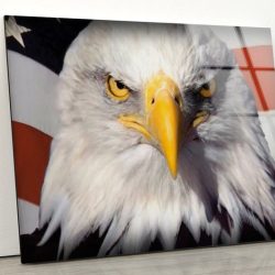 Tempered Glass Wall Decor Glass Printing Wall Hangings Abstract American Eagle