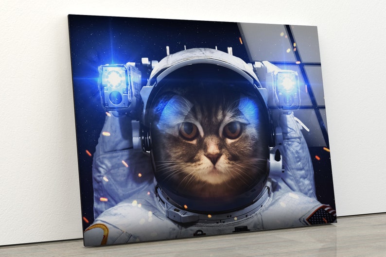 Tempered Glass Wall Decor Glass Printing Wall Hangings Abstract Astronaut Cat