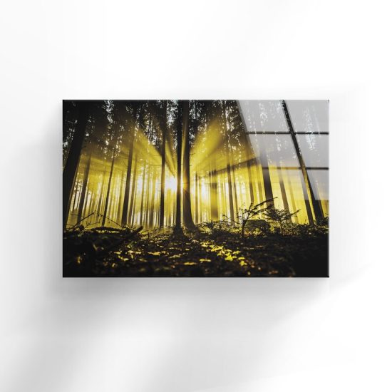 Tempered Glass Wall Decor Glass Printing Wall Hangings Abstract Autumn Forest 1