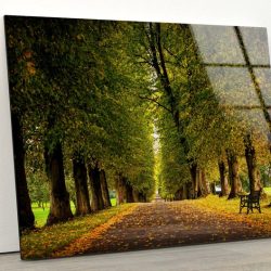 Tempered Glass Wall Decor Glass Printing Wall Hangings Abstract Autumn Forest