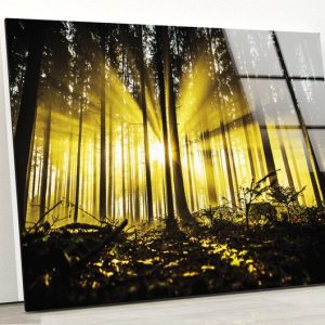 Tempered Glass Wall Decor Glass Printing Wall Hangings Abstract Autumn Forest