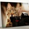 Tempered Glass Wall Decor Glass Printing Wall Hangings Abstract Cat Camera