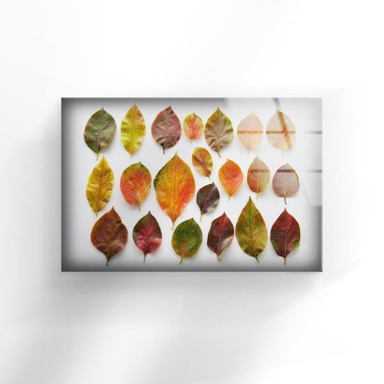 Tempered Glass Wall Decor Glass Printing Wall Hangings Abstract Colorful Leaf 1