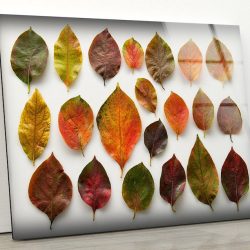 Tempered Glass Wall Decor Glass Printing Wall Hangings Abstract Colorful Leaf