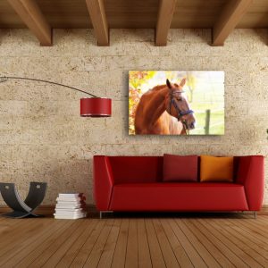 Tempered Glass Wall Decor Glass Printing Wall Hangings Abstract Cool Horse Art 2 1