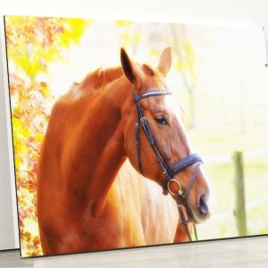 Tempered Glass Wall Decor Glass Printing Wall Hangings Abstract Cool Horse Art