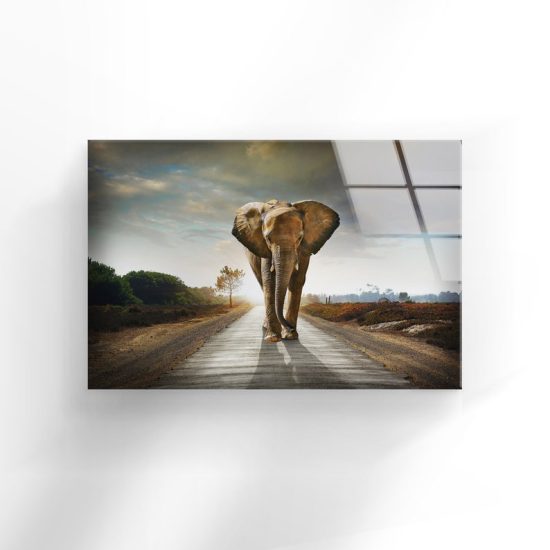 Tempered Glass Wall Decor Glass Printing Wall Hangings Abstract Elephant Animal 1