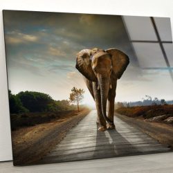 Tempered Glass Wall Decor Glass Printing Wall Hangings Abstract Elephant Animal