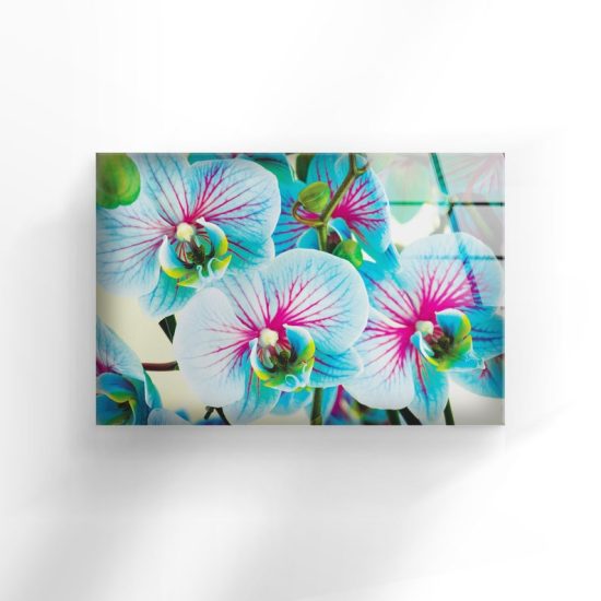 Tempered Glass Wall Decor Glass Printing Wall Hangings Abstract Flower Wall Art 1 2