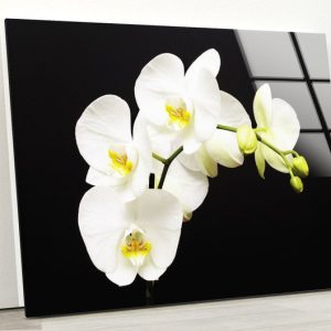 Tempered Glass Wall Decor Glass Printing Wall Hangings Abstract Flower Wall Art