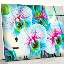 Tempered Glass Wall Decor Glass Printing Wall Hangings Abstract Flower Wall Art