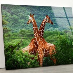 Tempered Glass Wall Decor Glass Printing Wall Hangings Abstract Giraffe Animal