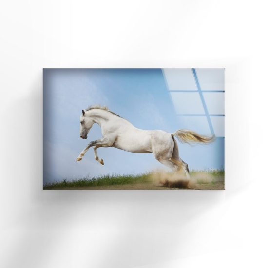 Tempered Glass Wall Decor Glass Printing Wall Hangings Abstract Horse Animal 1
