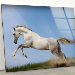 Tempered Glass Wall Decor Glass Printing Wall Hangings Abstract Horse Animal