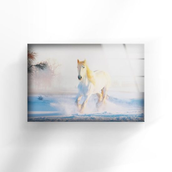 Tempered Glass Wall Decor Glass Printing Wall Hangings Abstract Horse Wall Art 1