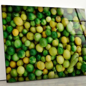 Tempered Glass Wall Decor Glass Printing Wall Hangings Abstract Lemon Food