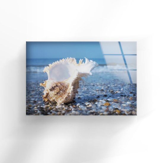 Tempered Glass Wall Decor Glass Printing Wall Hangings Abstract Seashell 1